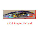 PURPLE PILCHARD